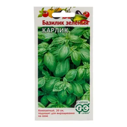 КАРЛИК ЗЕЛЕНЫЙ