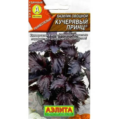 КУЧЕРЯВЫЙ ПРИНЦ