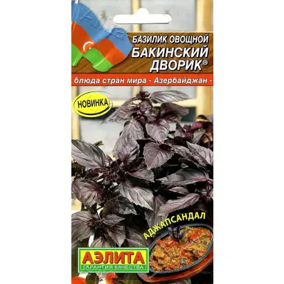 БАКИНСКИЙ ДВОРИК