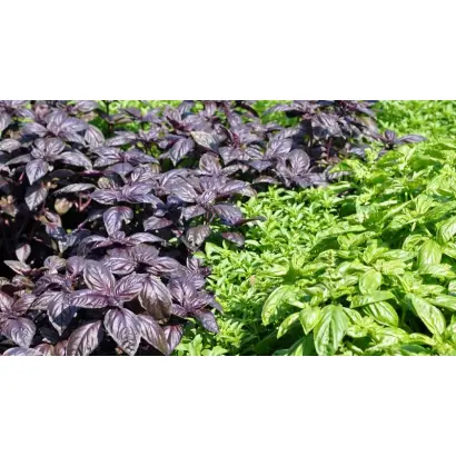 ПАМЯТИ ЮРИЯ ФАДЕЕВА