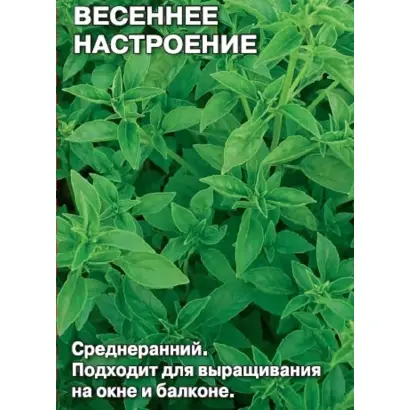 ВЕСЕННЕЕ НАСТРОЕНИЕ