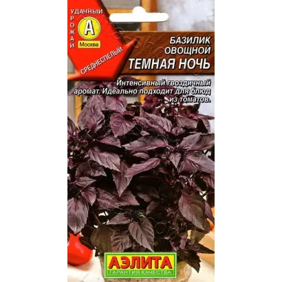 ТЕМНАЯ НОЧЬ