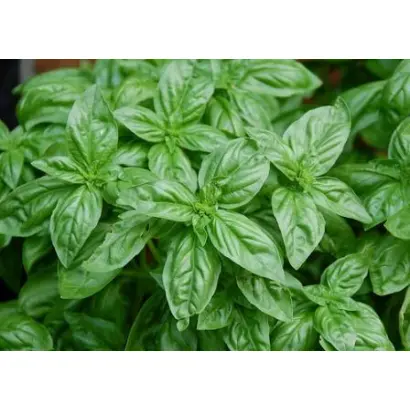 ЛИМОННЫЙ АРОМАТ