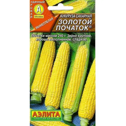 ЗОЛОТОЙ ПОЧАТОК