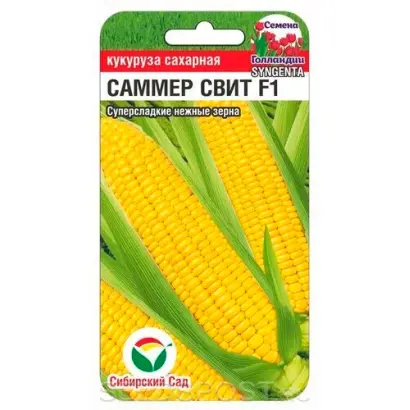 САММЕР СВИТ