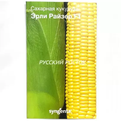 ЭРЛИ РАЙЗЕР