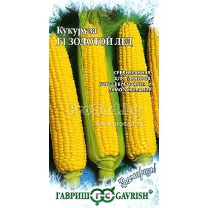 ЗОЛОТОЙ ЛЕД