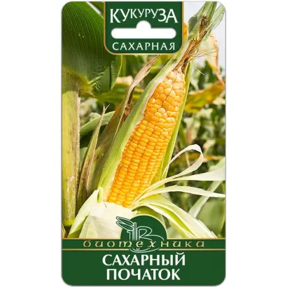 САХАРНЫЙ ПОЧАТОК