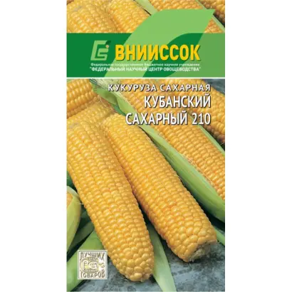 БАКСАНСКАЯ САХАРНАЯ