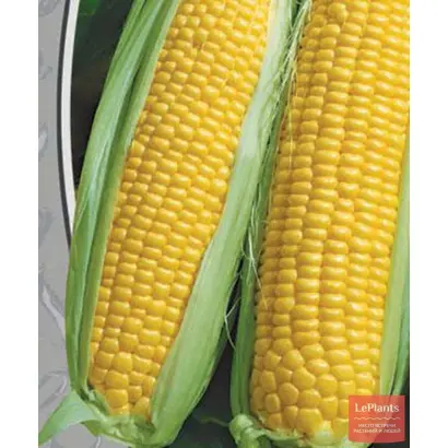 ПОРУМБЕНЬ 340 МВ