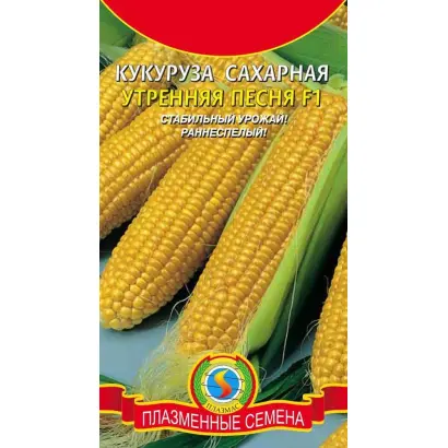 УТРЕННЯЯ ПЕСНЯ