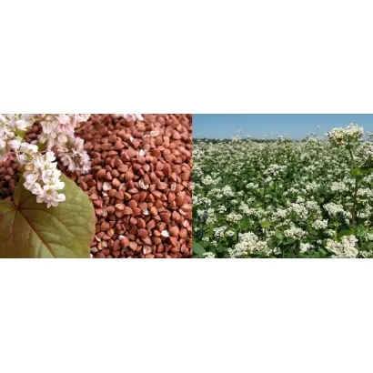 ШАТИЛОВСКАЯ 5