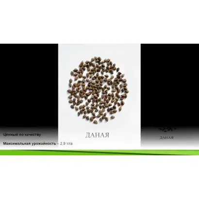 ДАНАЯ