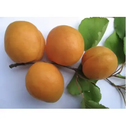 ПРОФЕССОР СМЫКОВ