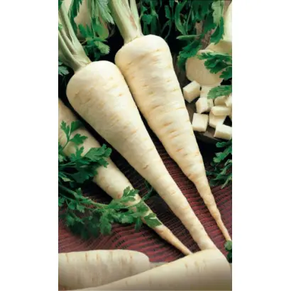 УРАЛЬСКАЯ УСАДЬБА