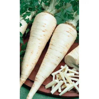 ГЕНЕРАЛЬСКАЯ