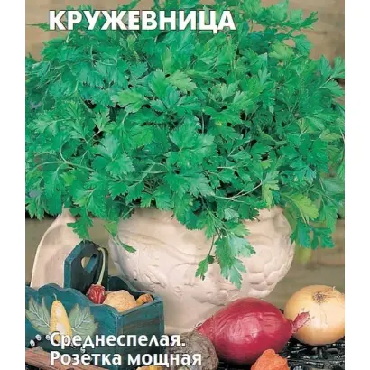 КРУЖЕВНИЦА