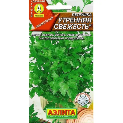 УТРЕННЯЯ СВЕЖЕСТЬ