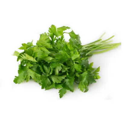 ОЛОМУНЬЦКА