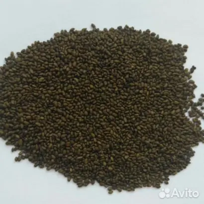 БРОДСКАЯ МЕСТНАЯ