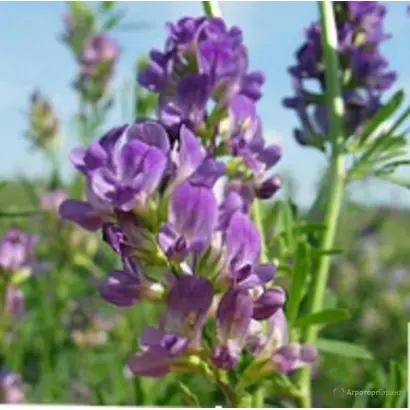 РОСТОВСКАЯ 60