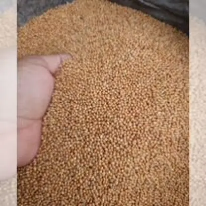 АБАКАНСКОЕ КОРМОВОЕ