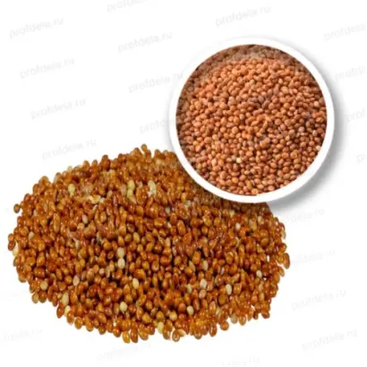 БАРНАУЛЬСКОЕ 18