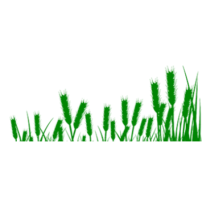 КАЗАНСКОЕ КОРМОВОЕ