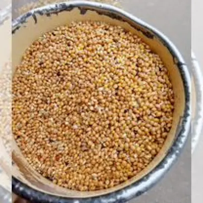 ОРЕНБУРГСКОЕ 20