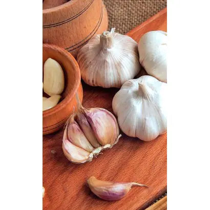 ДЕГТЯРСКИЙ