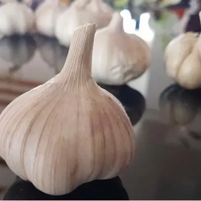 ЕЛЕНОВСКИЙ