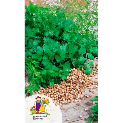 ТЁТУШКА МАРИКО