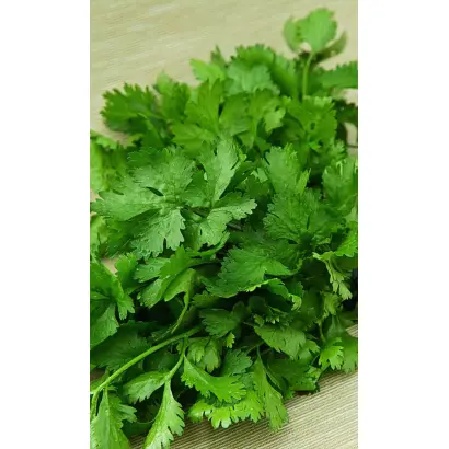 МАЛАХИТОВЫЙ ТИТАН