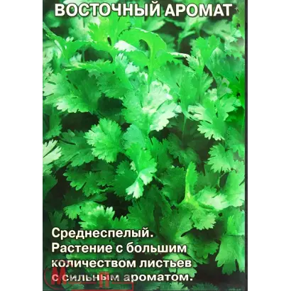 ВОСТОЧНЫЙ АРОМАТ