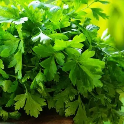 КОРОЛЬ РЫНКА