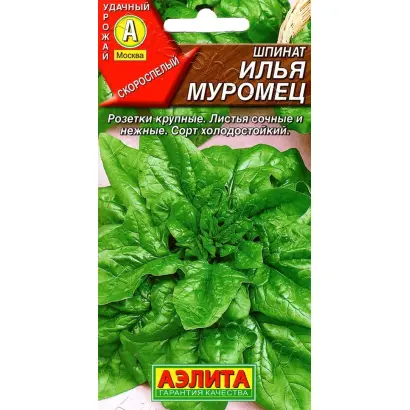 ИЛЬЯ МУРОМЕЦ