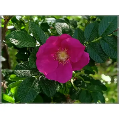 ПАМЯТИ ГАСАНОВА