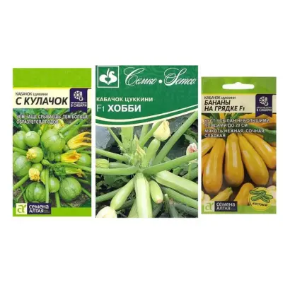 СОЛНЕЧНЫЙ ЗАЙЧИК