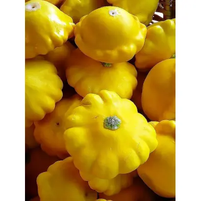 ТАБОЛИНСКИЙ