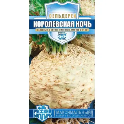 КОРОЛЕВСКАЯ НОЧЬ