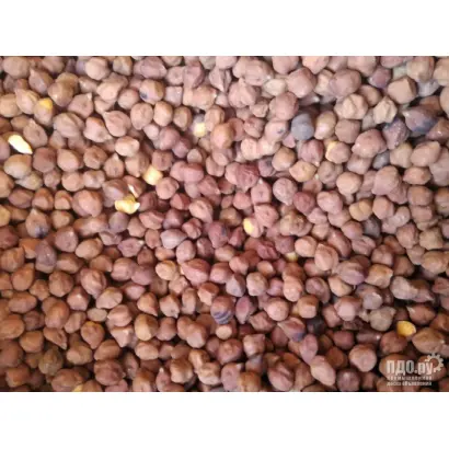 КРАСНОКУТСКИЙ 123