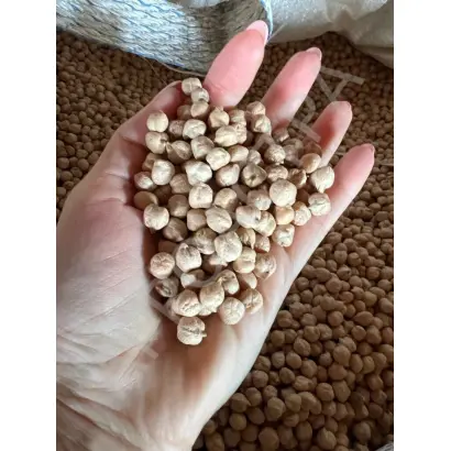 БОКОВСКИЙ БЕЛОСЕМЯННЫЙ