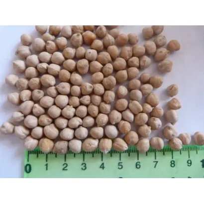 КРАСНОКУТСКИЙ 36