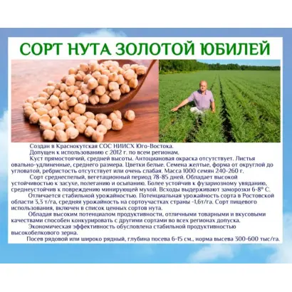 ЗОЛОТОЙ ЮБИЛЕЙ