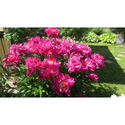 УРАЛЬСКАЯ ФАНТАЗИЯ