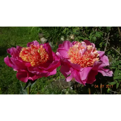 ШАХТЕРСКИЙ ОГОНЕК