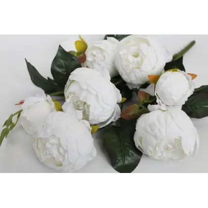 ВДОХНОВЕНИЕ