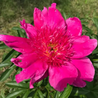 ПАМЯТИ ВЛАДА