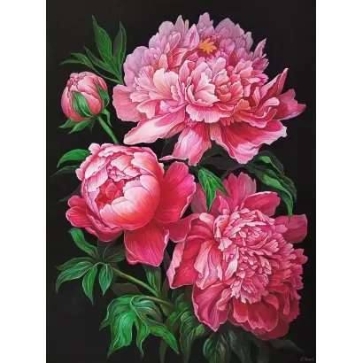 АЛЕКСЕЙ САВРАСОВ