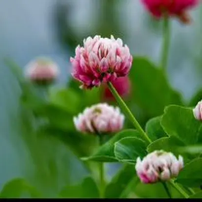 КРАСНОУФИМСКИЙ 882